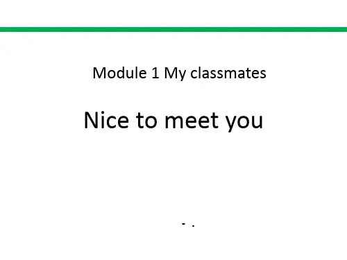 《Nice to meet you》PPT精品课件