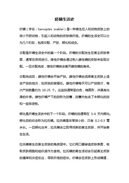 疥螨生活史