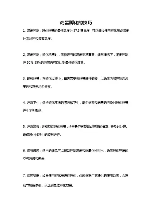 鸡蛋孵化的技巧