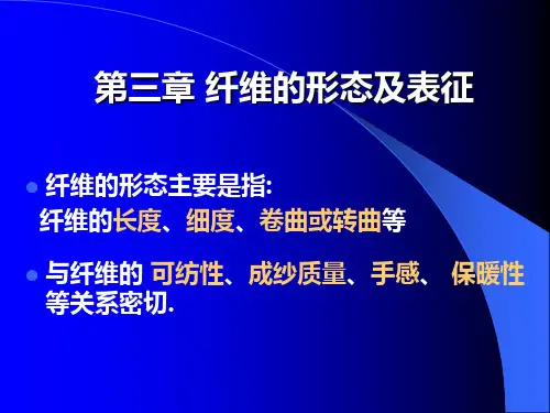 纤维形态特征