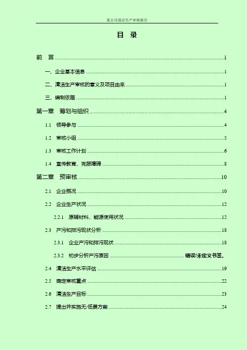 某公司清洁生产审核报告正文