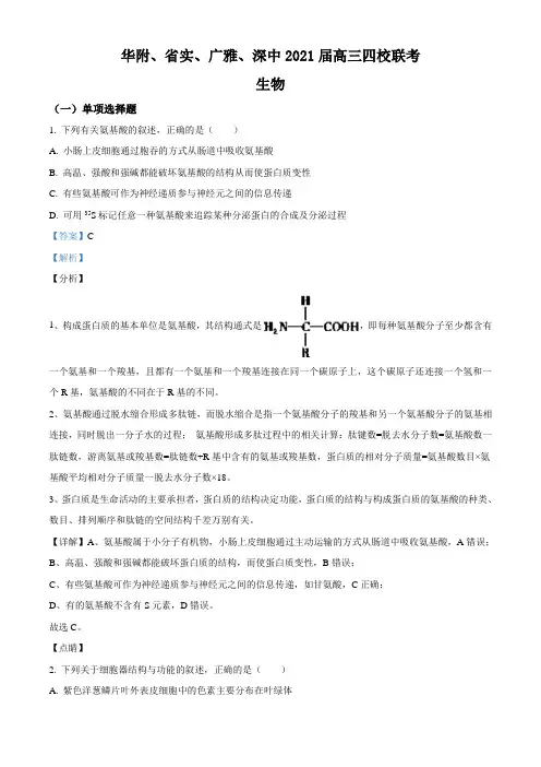 广东省华附、省实、广雅、深中2020-2021学年高三四校联考生物试题(解析版)