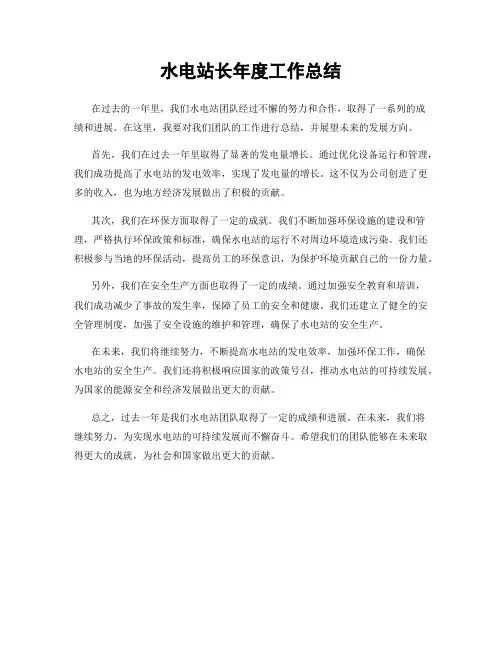 水电站长年度工作总结
