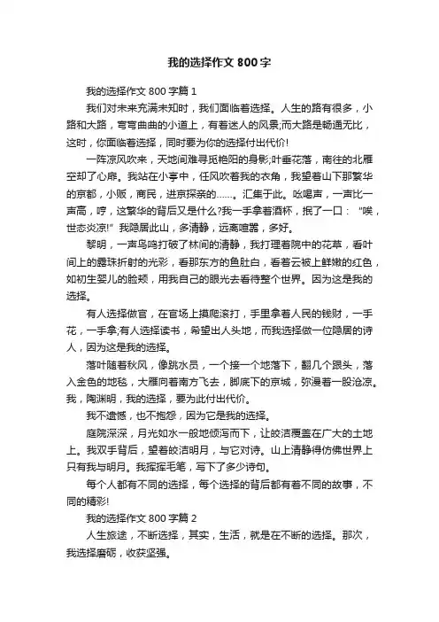 我的选择作文800字