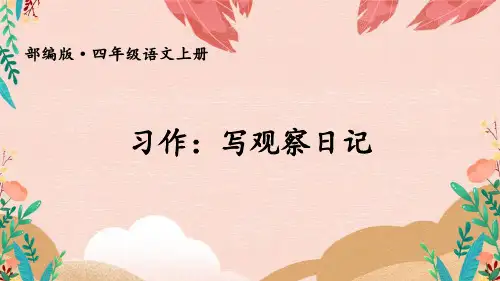 四年级语文作文指导 观察日记