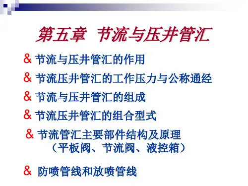 第五章  节流压井管汇