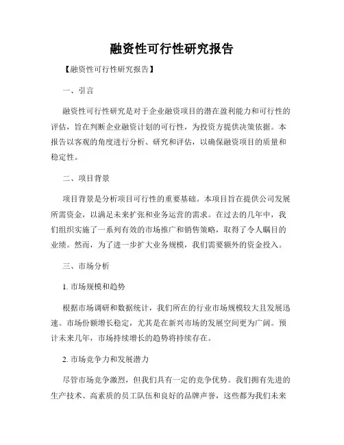 融资性可行性研究报告