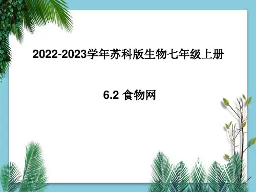 2022-2023学年苏科版生物七年级上册 6-2 食物网 课件