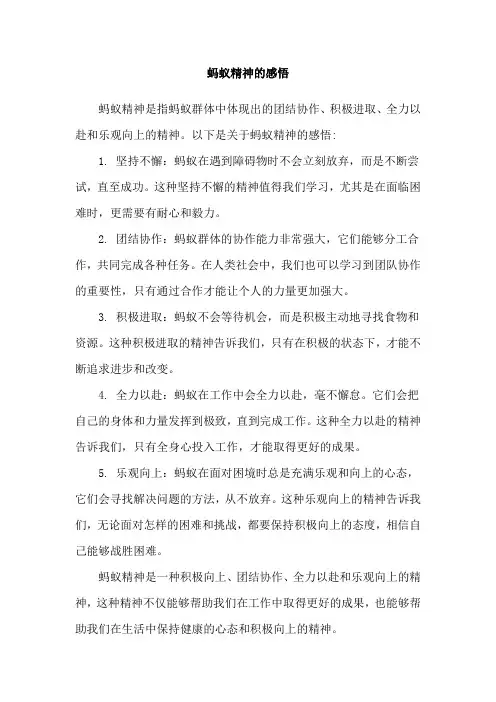 蚂蚁精神的感悟