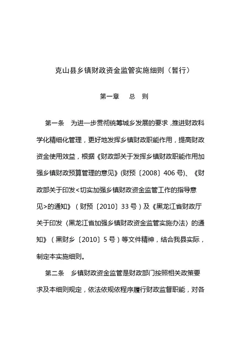 乡镇财政资金监管细则