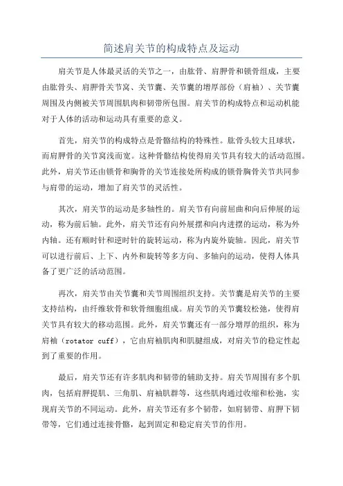 简述肩关节的构成特点及运动