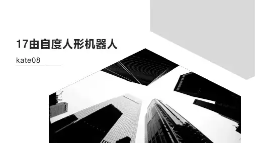 17由自度人形机器人参数