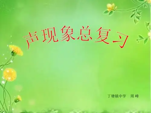 声现象 总复习