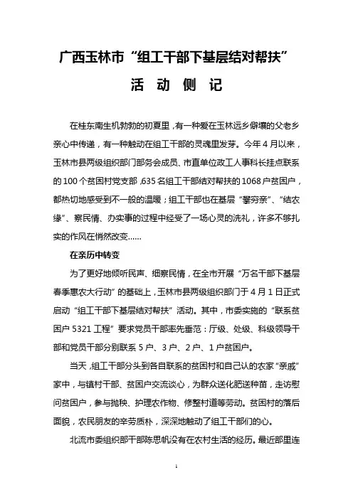 广西玉林市“组工干部下基层结对帮扶”活动侧记
