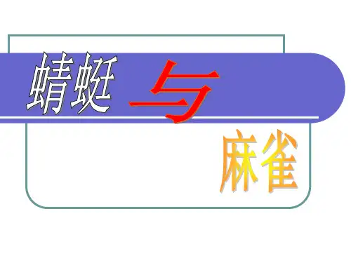 小学三年级科学蜻蜓与麻雀