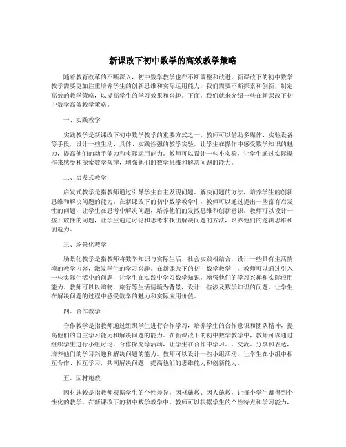 新课改下初中数学的高效教学策略
