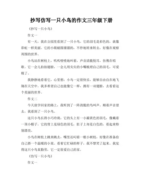 抄写仿写一只小鸟的作文三年级下册