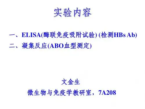 第二次实验：凝集反应和ELISA