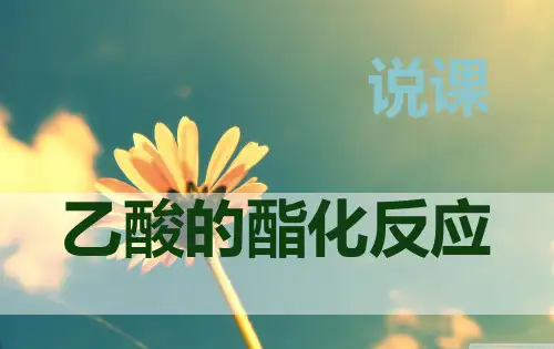乙酸的酯化反应-说课