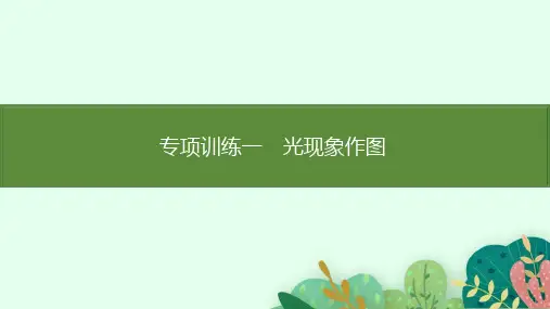 第4章 光现象 专项训练 光现象作图 课件 人教版(2024)物理八年级上册