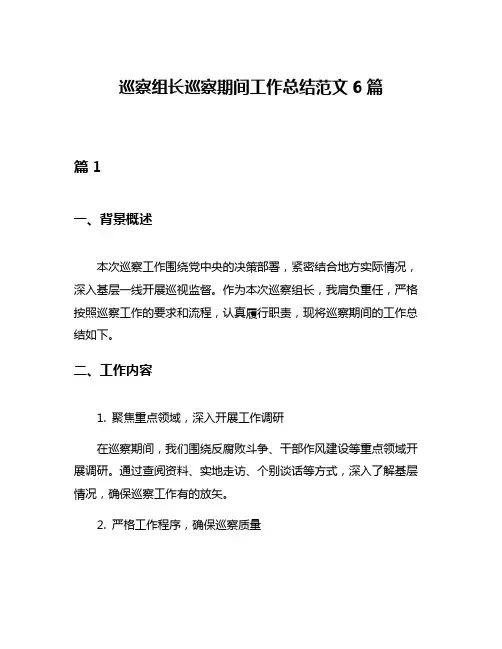 巡察组长巡察期间工作总结范文6篇