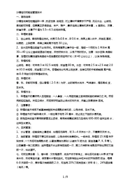 沙糖桔种植技术