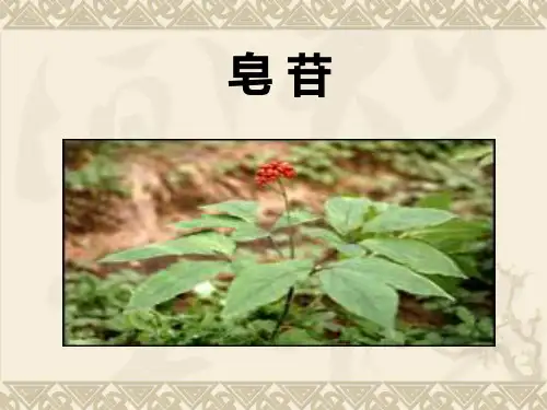 皂苷基础
