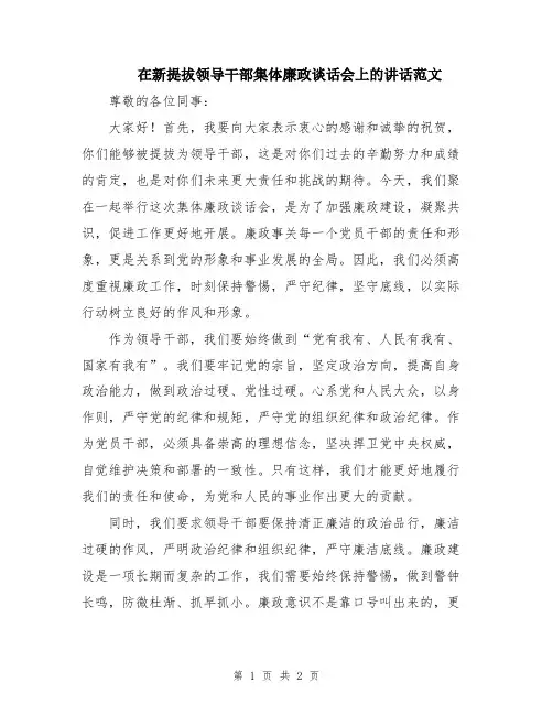 在新提拔领导干部集体廉政谈话会上的讲话范文