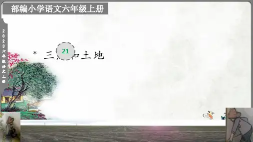 三黑和土地课件(共31张PPT)