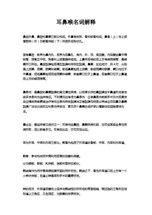 耳鼻喉名词解释