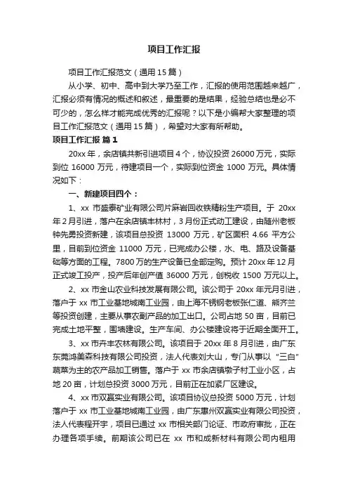 项目工作汇报