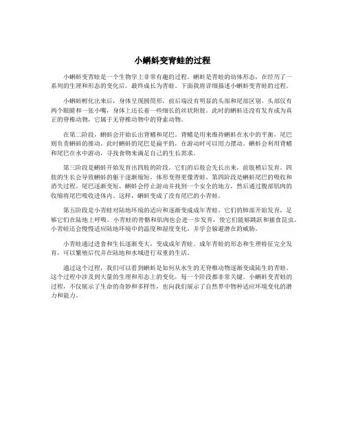 小蝌蚪变青蛙的过程