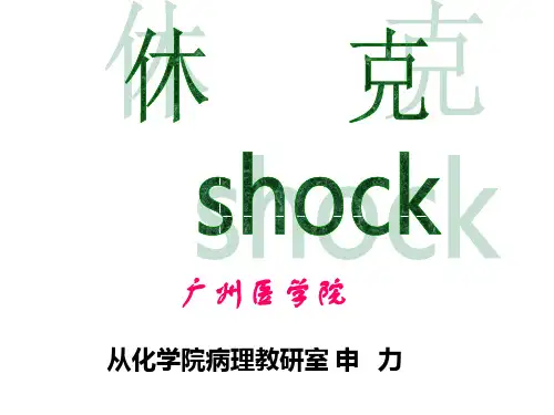休克微循环