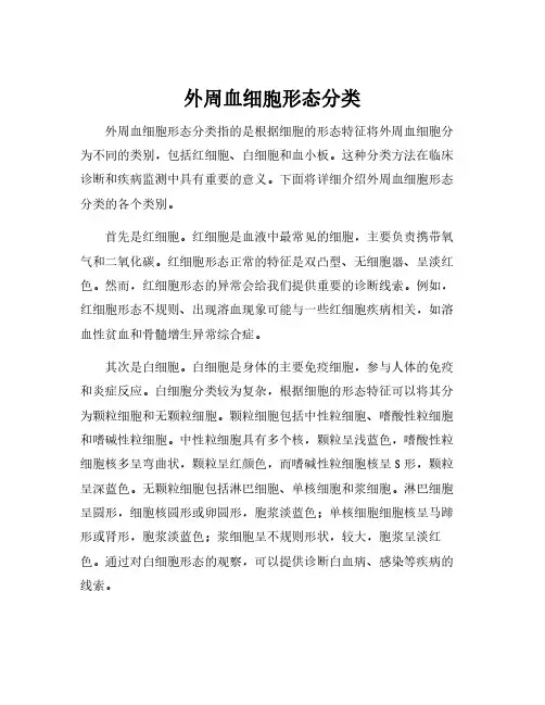 外周血细胞形态分类