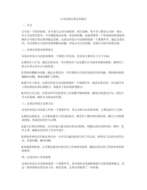 公司纪检自查自纠报告