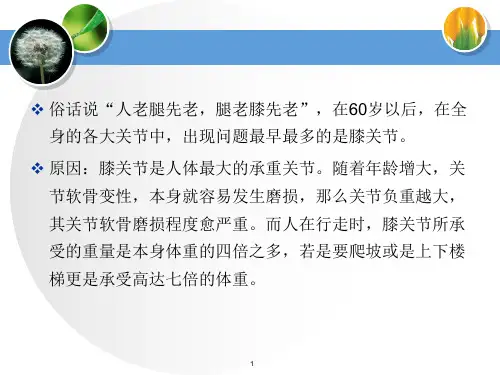 膝关节健康教育PPT演示课件