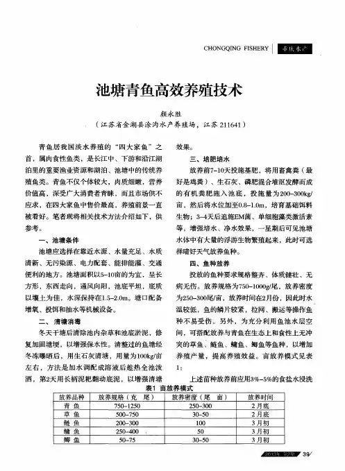 池塘青鱼高效养殖技术