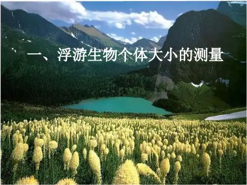 浮游生物个体大小.