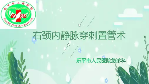 颈内静脉穿刺置管术