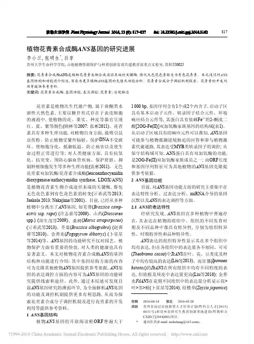植物花青素合成酶ANS基因的研究进展