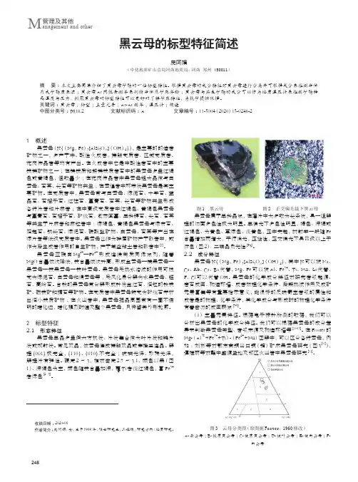 黑云母的标型特征简述