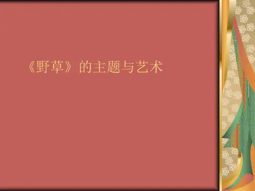 当代散文课件——鲁迅野草.ppt