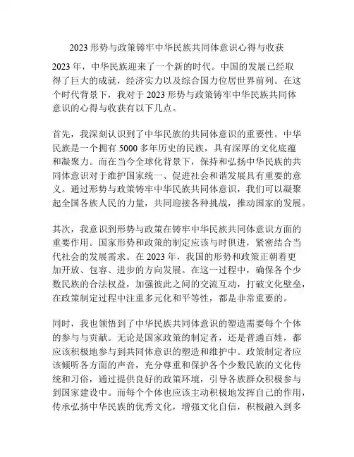 2023形势与政策铸牢中华民族共同体意识心得与收获
