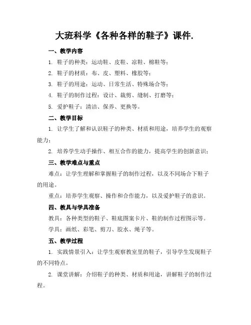 大班科学《各种各样的鞋子》课件.