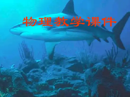 浮力复习PPT课件(人教版)