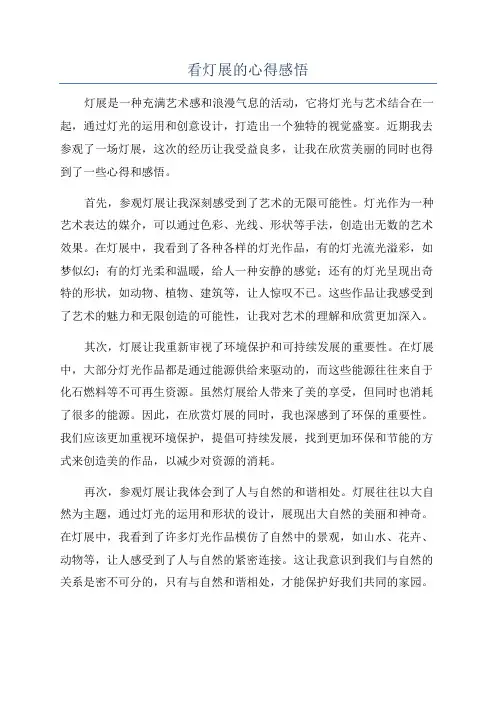 看灯展的心得感悟