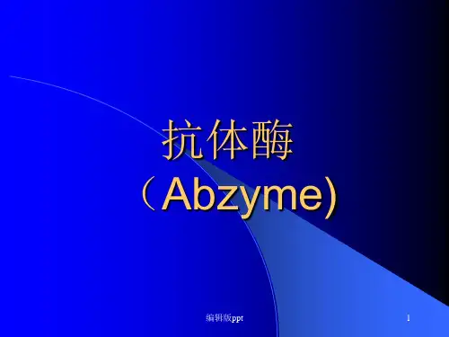 抗体酶ppt课件