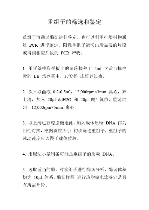重组子的筛选和鉴定
