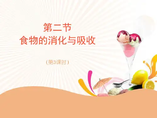 浙教版九年级上册科学《食物的消化与吸收》PPT(第三课时)