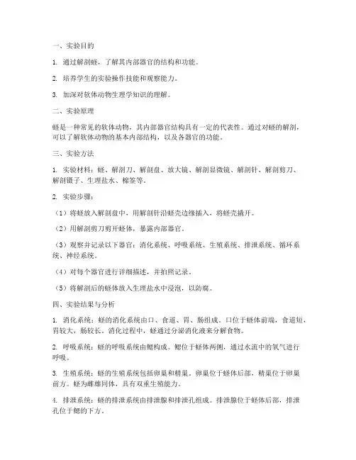 解剖蛏的实验报告